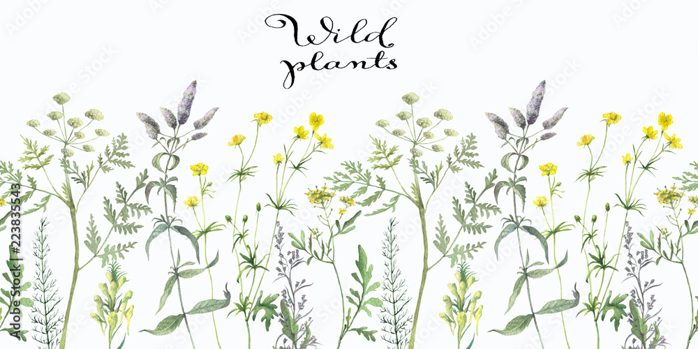 Seamless pattern with watercolor wild herbs and flower Seamless pattern with watercolor wild herbs and flower