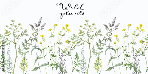 Seamless pattern with watercolor wild herbs and flower © Viktoria