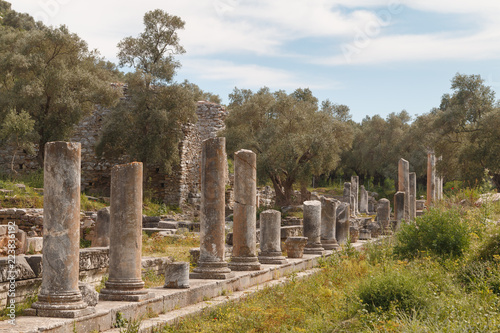 Ruins of the ancient town Iassos (Iasos), Turkey