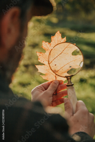 Obraz na plátně scientist examines leaf of tree through magnifying glass