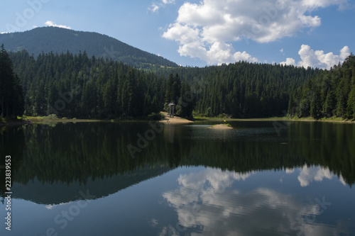Synevir high altitude lake and forest is reflected in calm water at summer day © Olexandr
