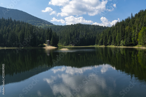 Fototapeta Naklejka Na Ścianę i Meble -  Synevir high altitude lake and forest is reflected in calm water at summer day