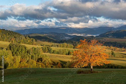 Fall in Slovakia. Meadows and fields landscape near Povraznik. Autumn color trees at sunrise. photo