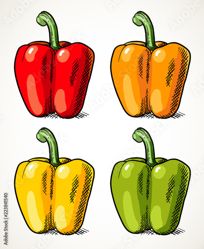 Sweet peppers set vegetable illustration