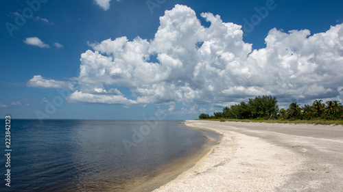 Fototapeta Naklejka Na Ścianę i Meble -  Beach at West Florida
