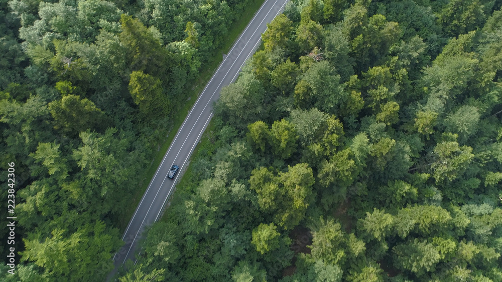 Φωτογραφία AERIAL: Flying high above a car driving along a road leading through the woods