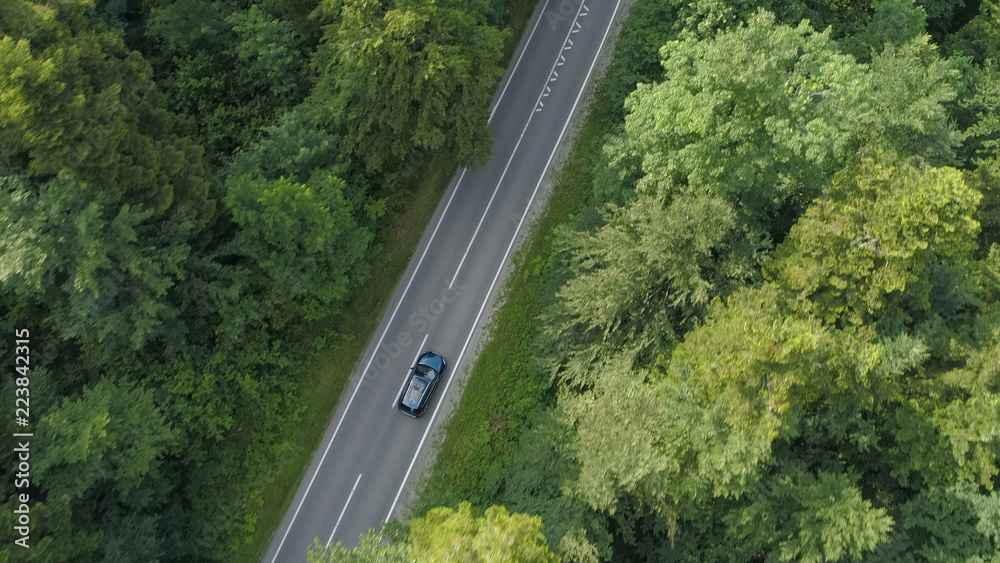 AERIAL: Tourist car drives along the empty asphalt road in the tranquil forest. AERIAL: Tourist car drives along the empty asphalt road in the tranquil forest.