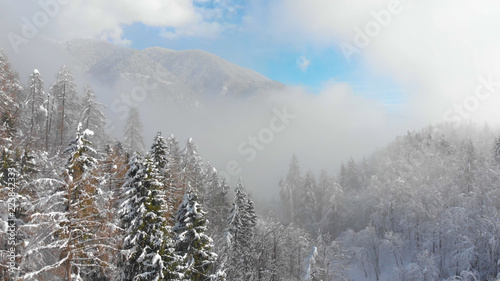 AERIAL: Beautiful view of forest covered mountain on a foggy day in winter.
