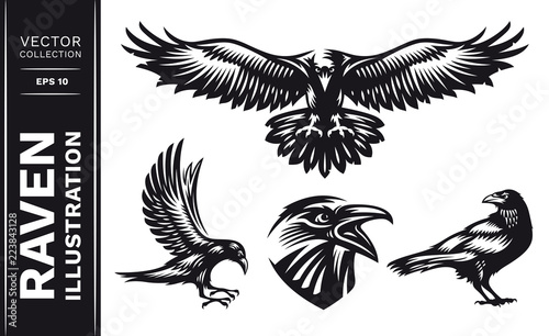 Raven bird collection - vector illustration, logo, emblem black and white, one color. photo