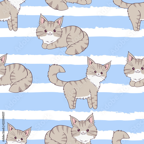 Seamless pattern Maine Coon cats on stripe background. Hand drawn vector illustration.