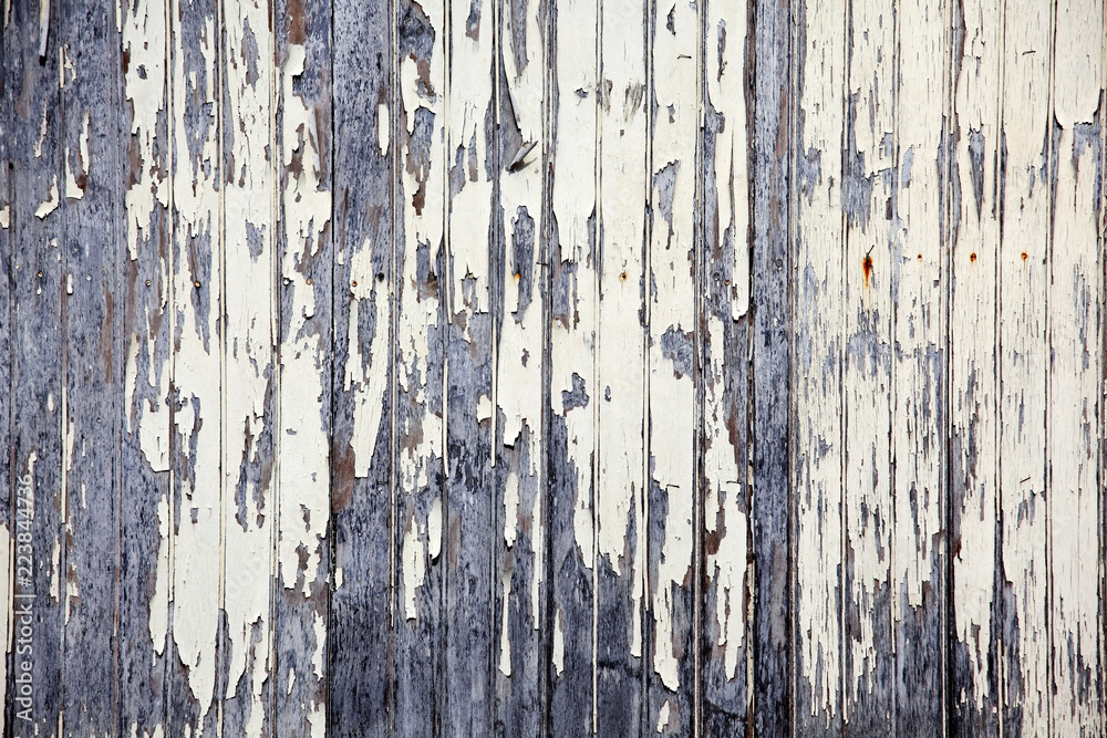 grunge wooden window wall background. grunge wooden window wall background.