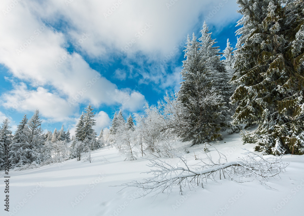 Naklejka premium Winter mountain snowy landscape