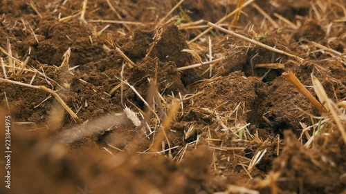 Grain field after disc harrowing