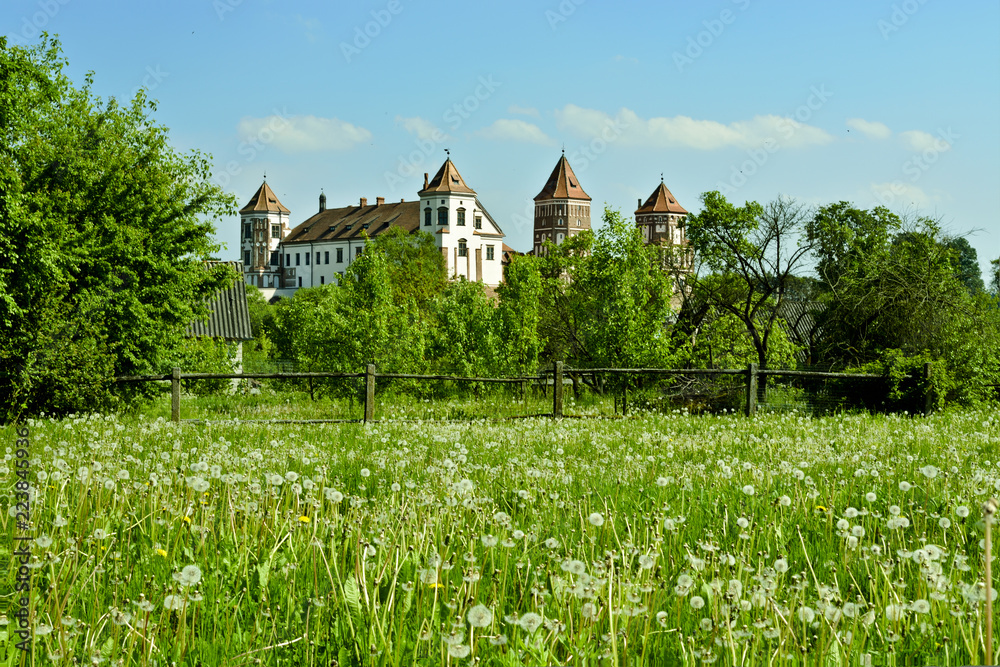 Medieval castle in the village of Mir. Belarus