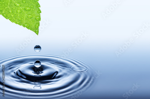 Drop of water falling from green fresh leaf