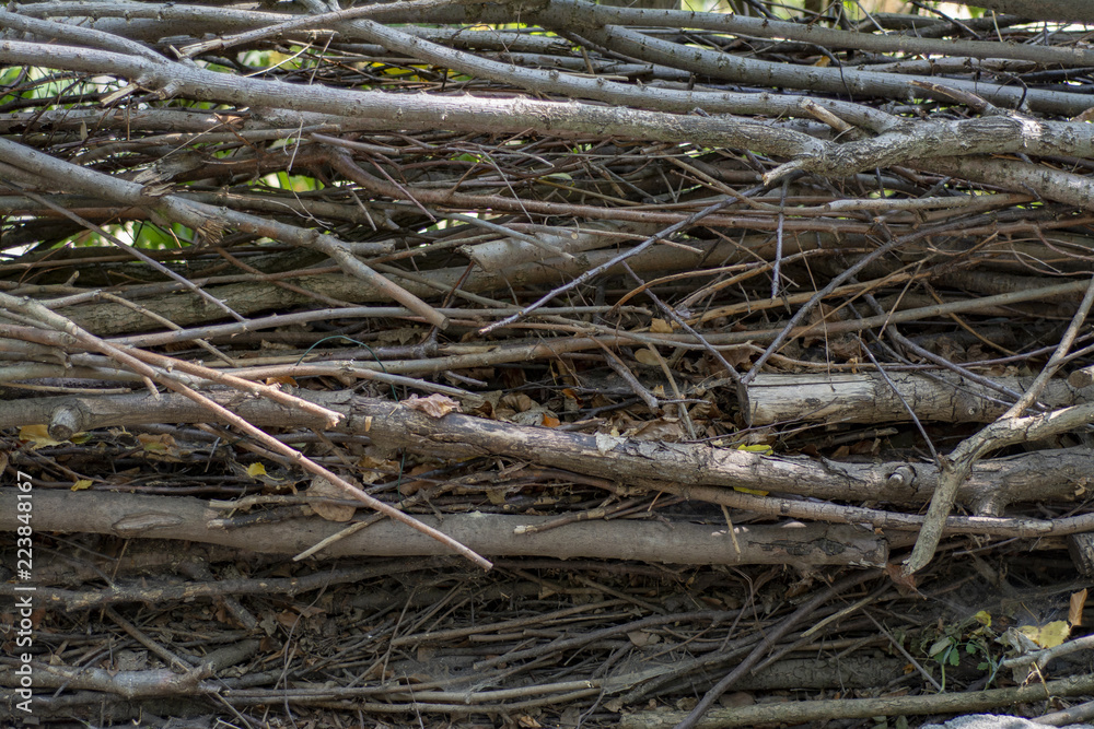 Texture of a rural wall made of sticks and branches Texture of a rural wall made of sticks and branches