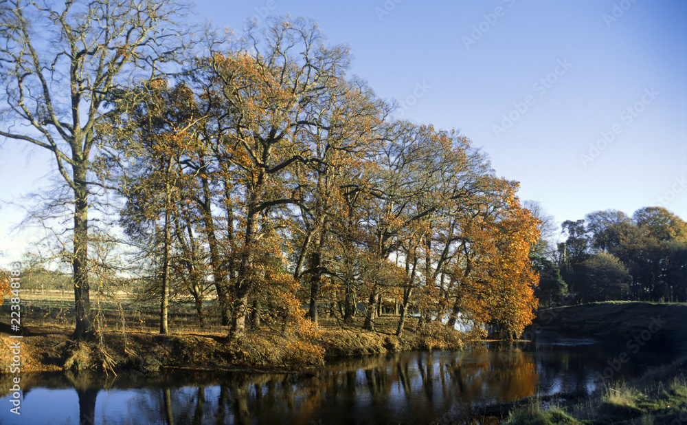 river avon warwickshire england uk autumn