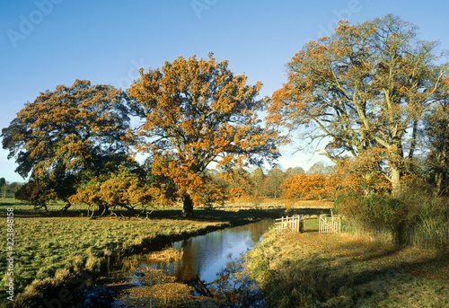 river avon warwickshire england uk autumn