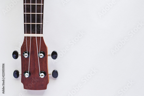 Ukulele on white background...