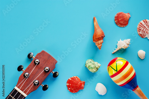 Ukulele, maracas and sea sh...