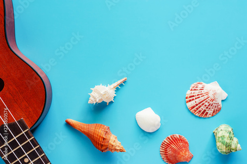 Ukulele and sea shells on b...