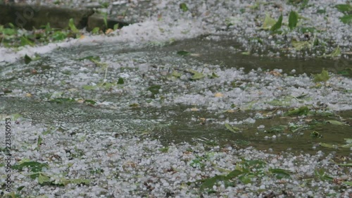 Wallpaper Mural Slow motion closeup of water streams on the pavement after strong hailstorm Torontodigital.ca