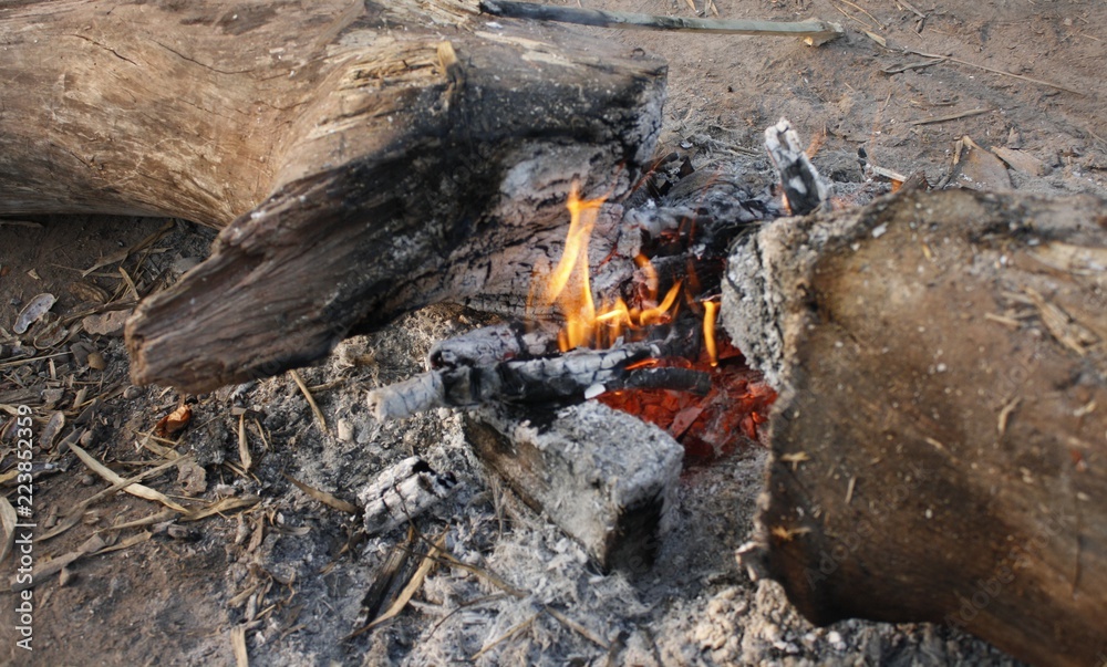 Bonfire flame,Camping fire in the forest Bonfire flame,Camping fire in the forest