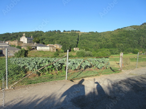 paisajes de fonsagrada lugo galicia photo