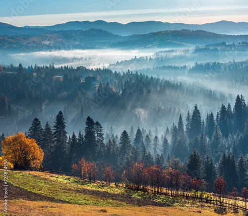 First rays of sun in Carpathians. photo