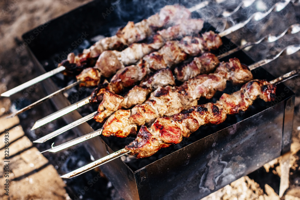 Barbecue skewers on the brazier Barbecue skewers on the brazier