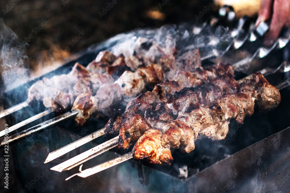 Barbecue skewers on the brazier Barbecue skewers on the brazier