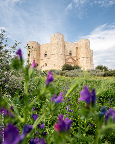 Картината върху платно Castel del Monte Puglia flowers foreground