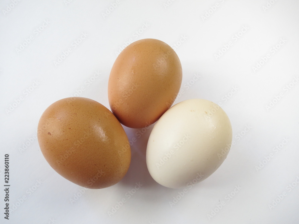Chicken eggs on white background Chicken eggs on white background