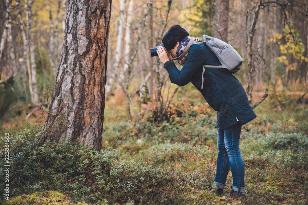 Girl with the camera photographs tree bark in the wood Girl with the camera photographs tree bark in the wood