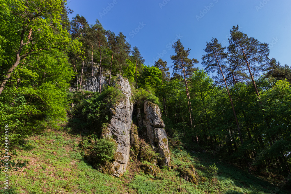 rocks in the Krakow-Czestochowa Upland