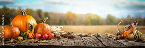 Thanksgiving With Pumpkins  Apples And Corncobs On Wooden Table With Field Trees And Sky In Background photo