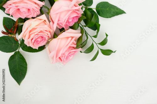 Rose fresh flowers with green leaves on table from above with copy space, flat lay scene