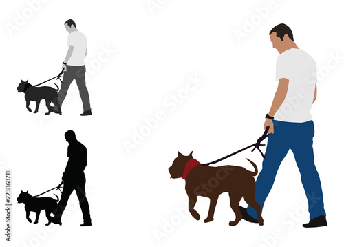 Realistic colored illustration of a man walks a staffordshire bull terrier dog