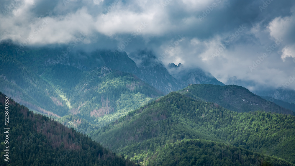 Cloudy mount Giewont and green forest view from Zakopane, Poland