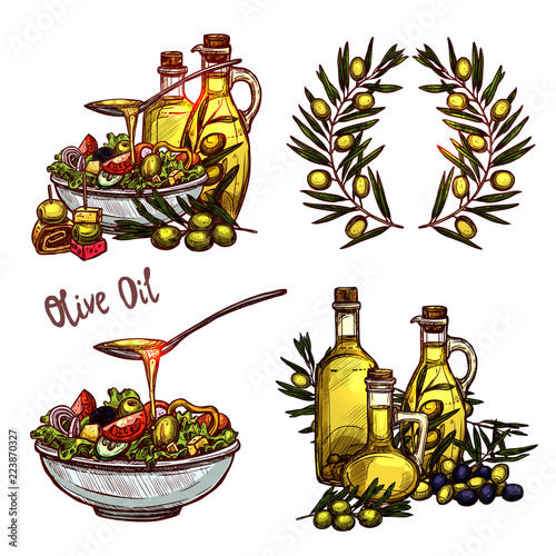 Olive Oil Sketch Set. Four Color Olive Oil Concepts In Hand Drawn Style