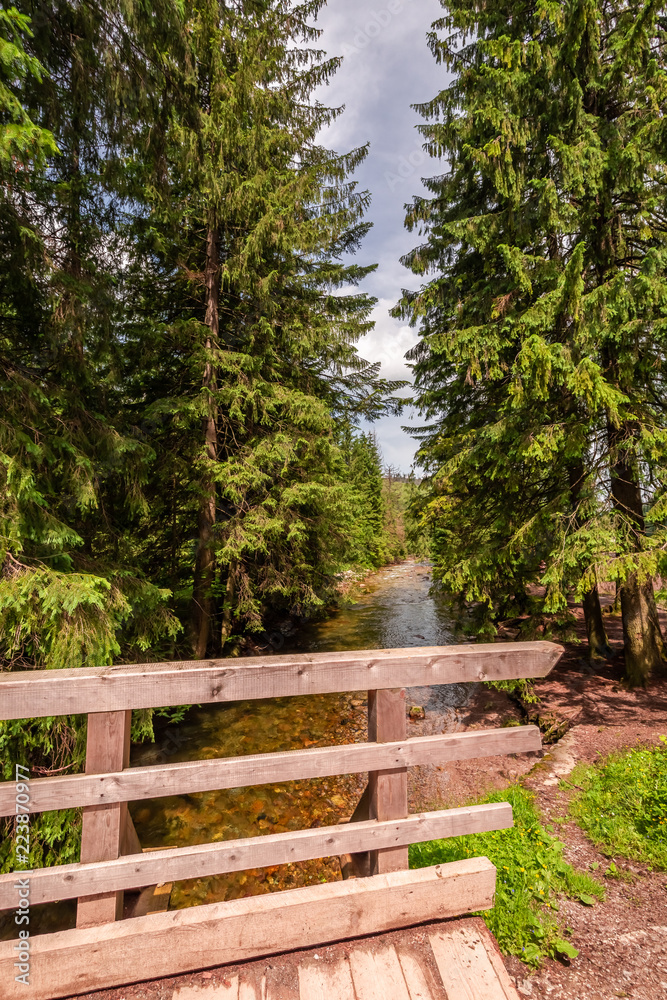 Beautiful footpath with bridge in Koscieliska valley, Poland Beautiful footpath with bridge in Koscieliska valley, Poland