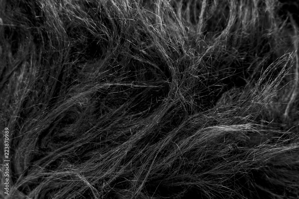 Fototapeta premium Black soft natural animal wool texture background. Skin wool. Close-up texture of dark fluffy fur. Gray plush