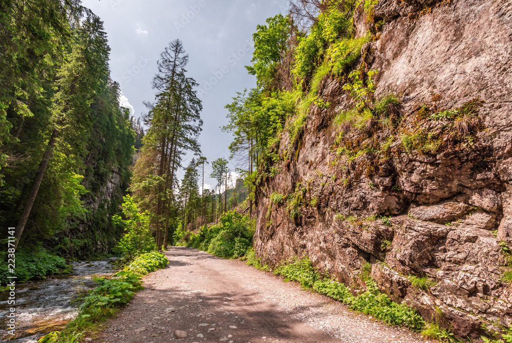 Breathtaking footpath in Koscieliska valley in summer Breathtaking footpath in Koscieliska valley in summer