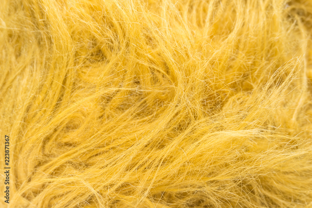 Obraz premium Yellow soft natural animal wool texture background. Skin wool. Close-up texture of white fluffy fur. Red plush