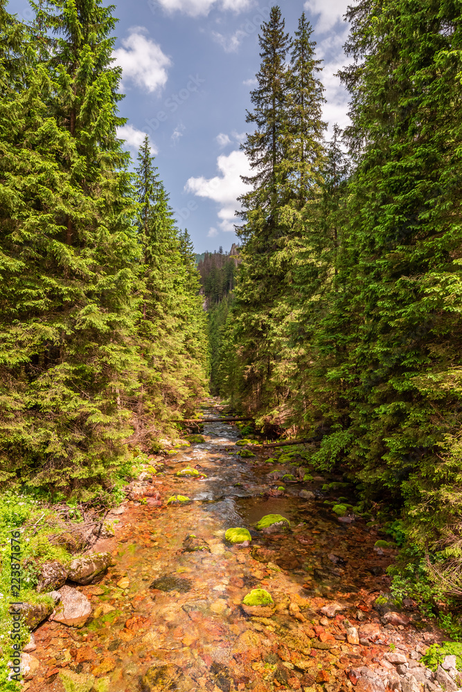 Wonderful stream in Koscieliska valley in Poland, Tatras Wonderful stream in Koscieliska valley in Poland, Tatras