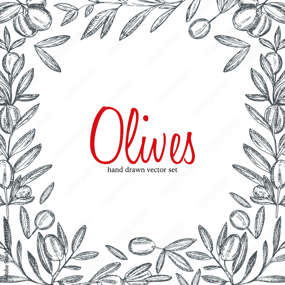 Obraz premium Vector hand drawn illustration of olive branches with olive fruits and bottles of olive oil with herbs.Monochrome , sketched retro style.