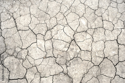 Fotografering White dried and cracked earth background texture, Close-up of dry fissure ground