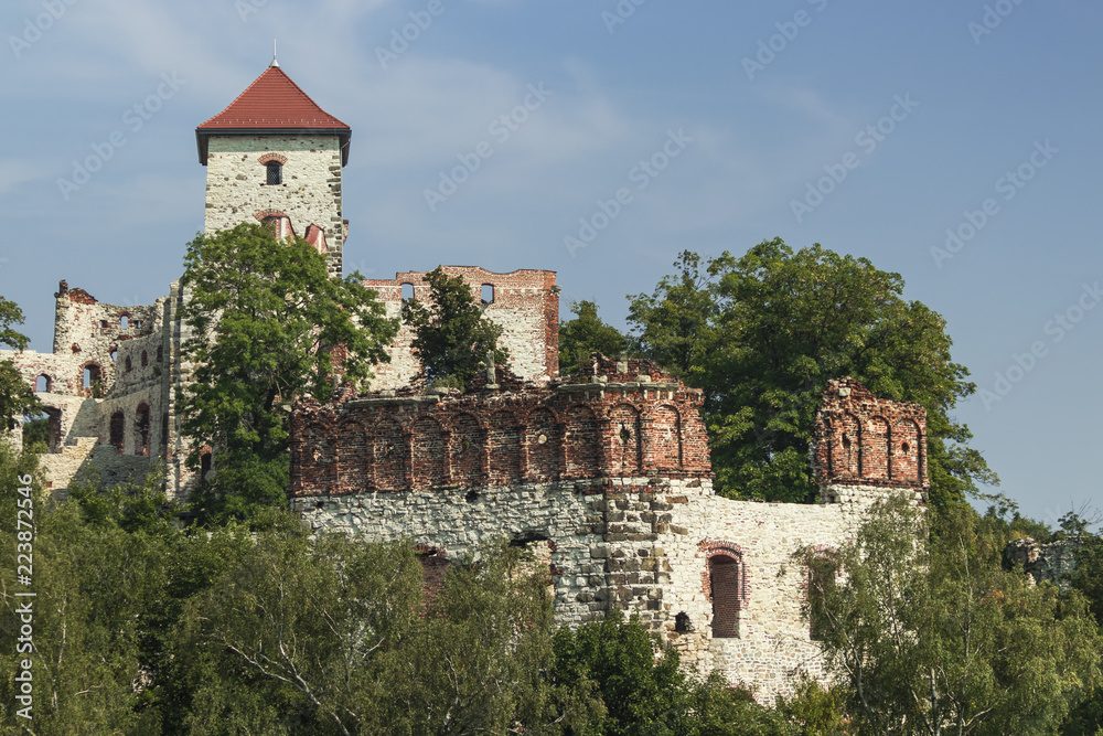Ruins of the medieval Tenczyn castle, Poland