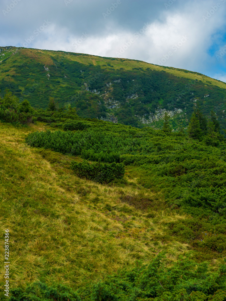 Obraz premium Summer mountain landscapes. Green meadows. High hills.