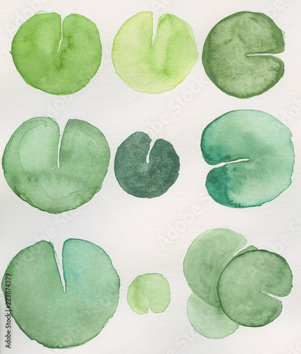 Canvas-taulu lily pads